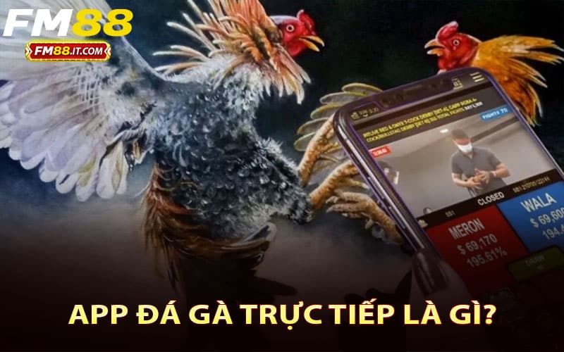 App đá gà trực tiếp là gì?