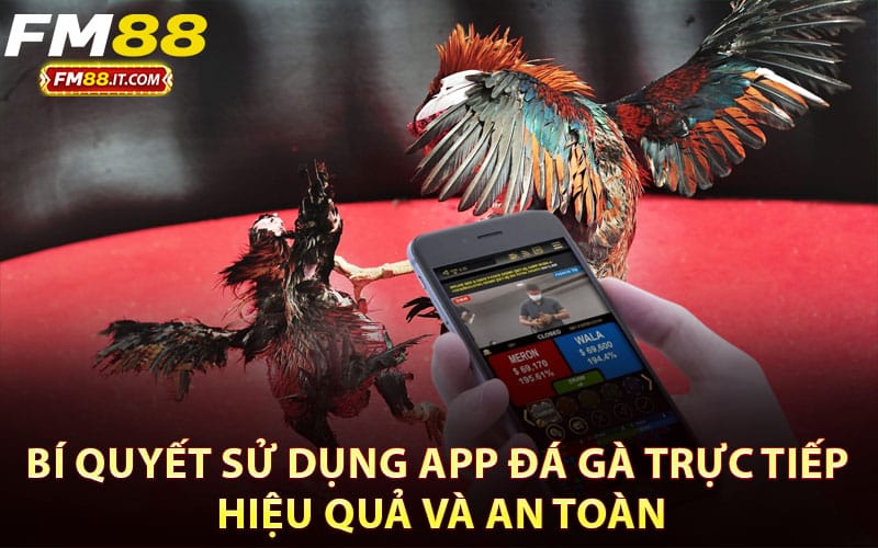 Bí quyết sử dụng app đá gà trực tiếp hiệu quả và an toàn