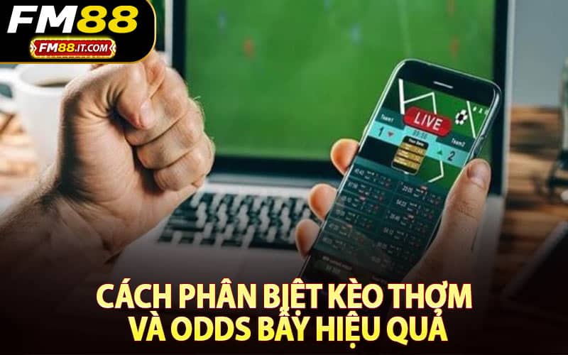 Cách phân biệt kèo thơm và odds bẫy hiệu quả