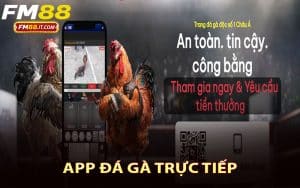 App Đá Gà Trực Tiếp